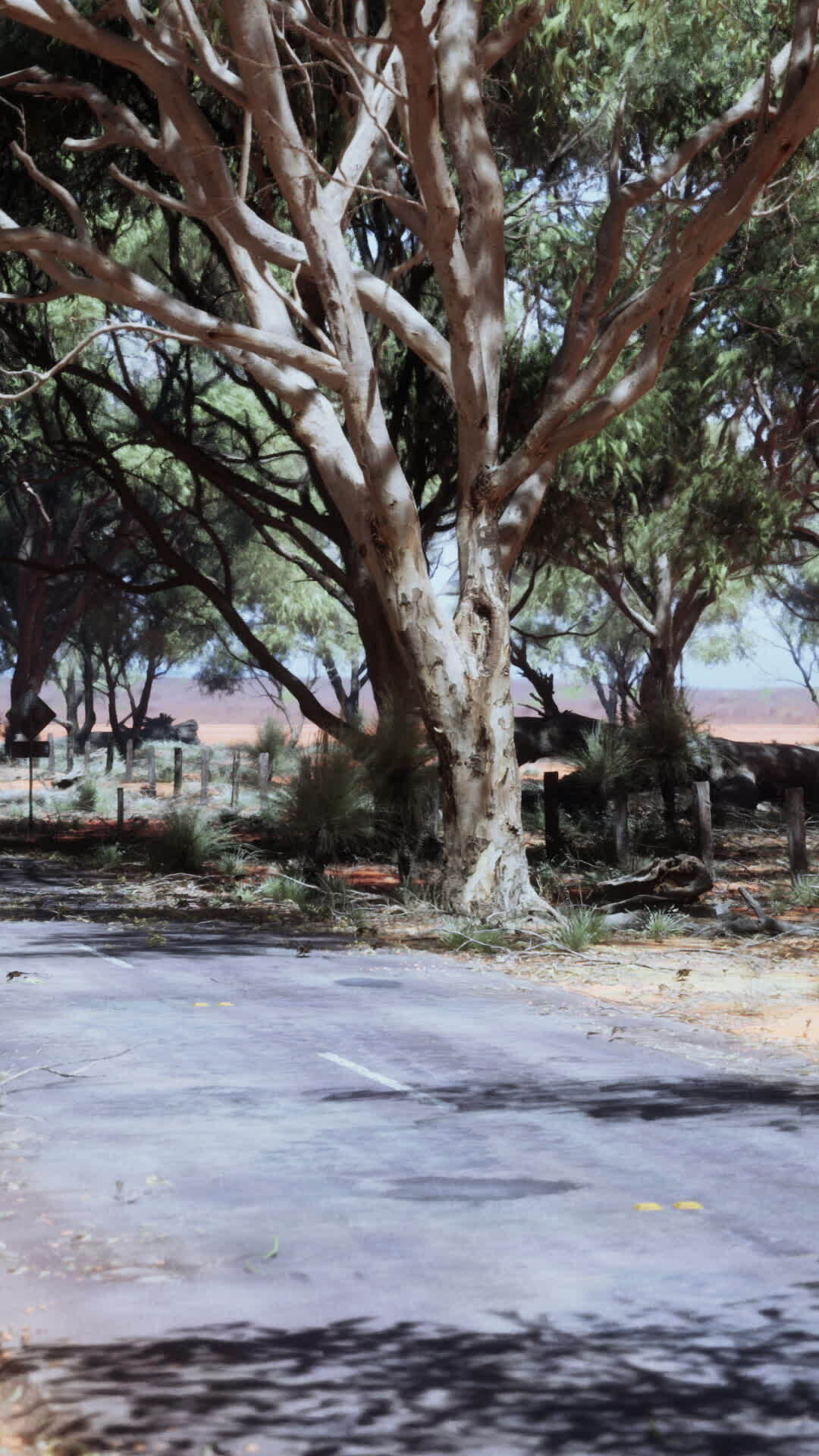 A rural road passing through open savanna landscape in western Nigeria.