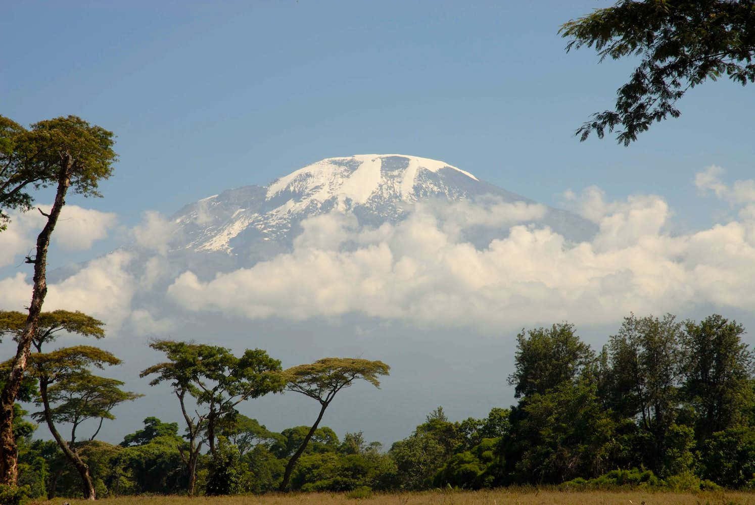 Distant view of the snow-capped summit of Mount Kilimanjaro from the plains of Tanzania.