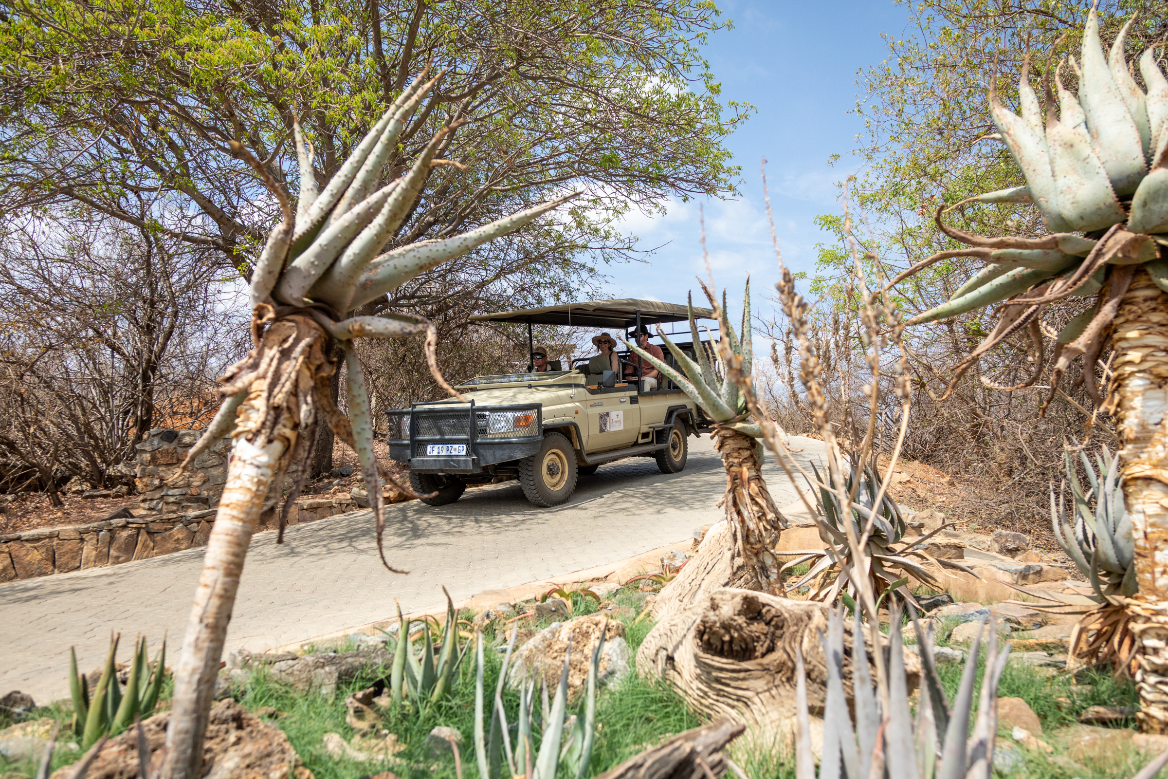 Tourists enjoying a game drive in an open-top safari vehicle through a reserve in South Africa.