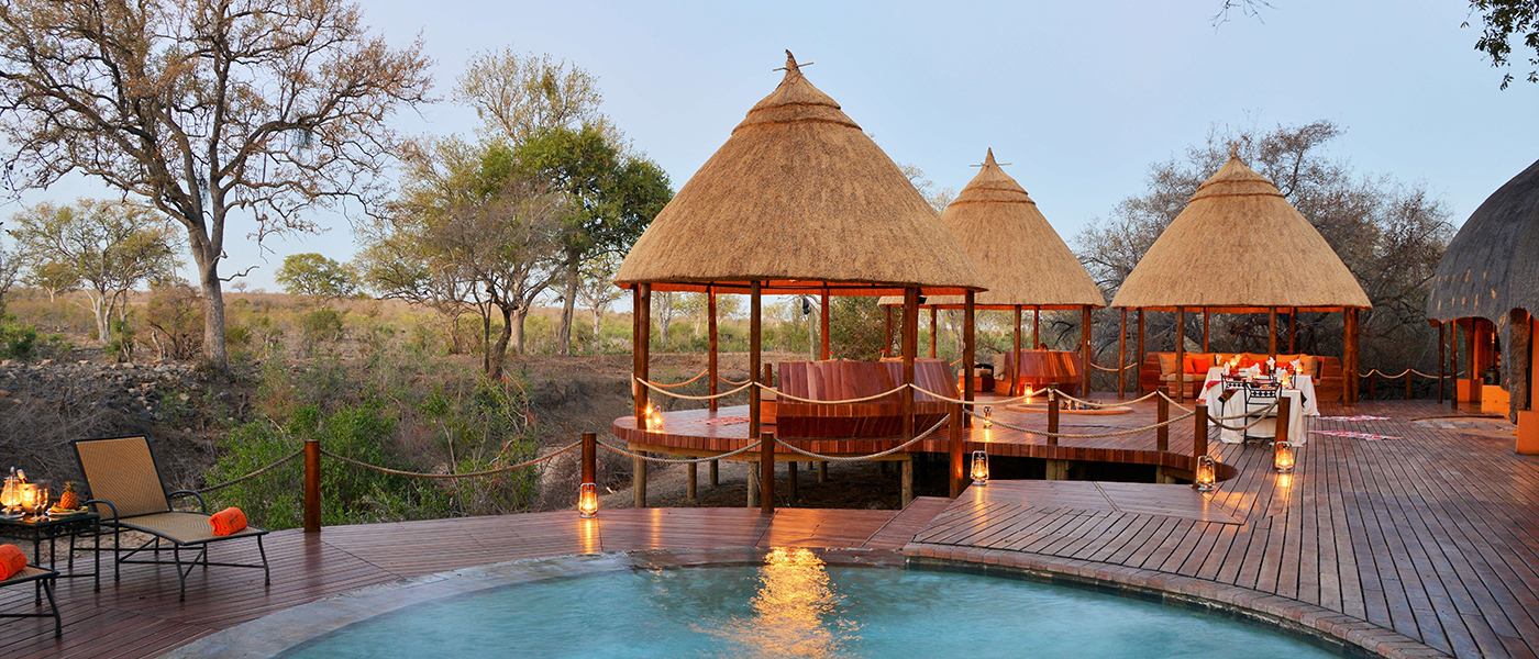 South Africa Leads 2026 Global Safari Bookings Surge