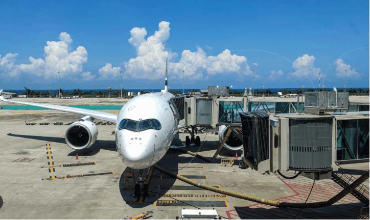 Delta Air Lines Implements Mandatory Live Animal Transport Fee Adjustments for Fall 2026