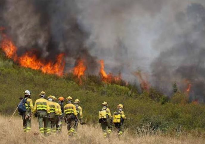 EU Mobilizes Emergency Assistance as Wildfires Ravage Belgium and Spain