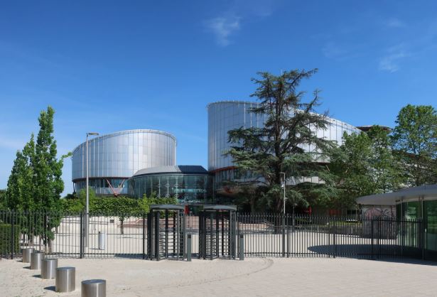 Strasbourg Court Launches Public Open Days to Boost Human Rights Transparency