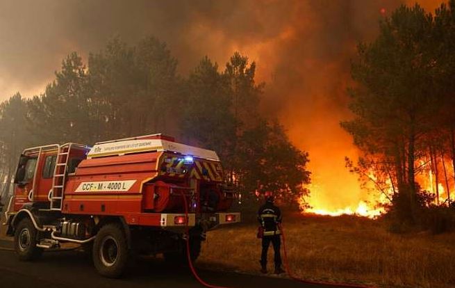 Fire truck parked near a wooded area during an emergency response.