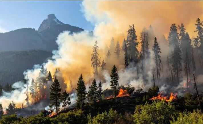 Belgium Battles Record-Breaking Wildfire in High Fens Reserve Near German Border