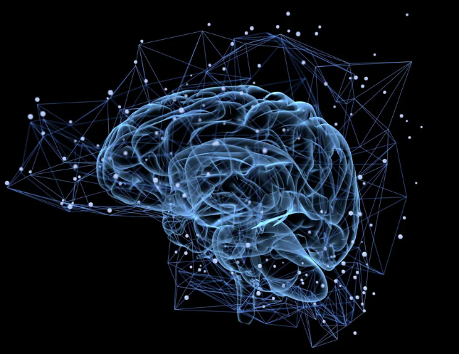 Multilingualism Linked to Brains Up to 13 Years Younger in New Study
